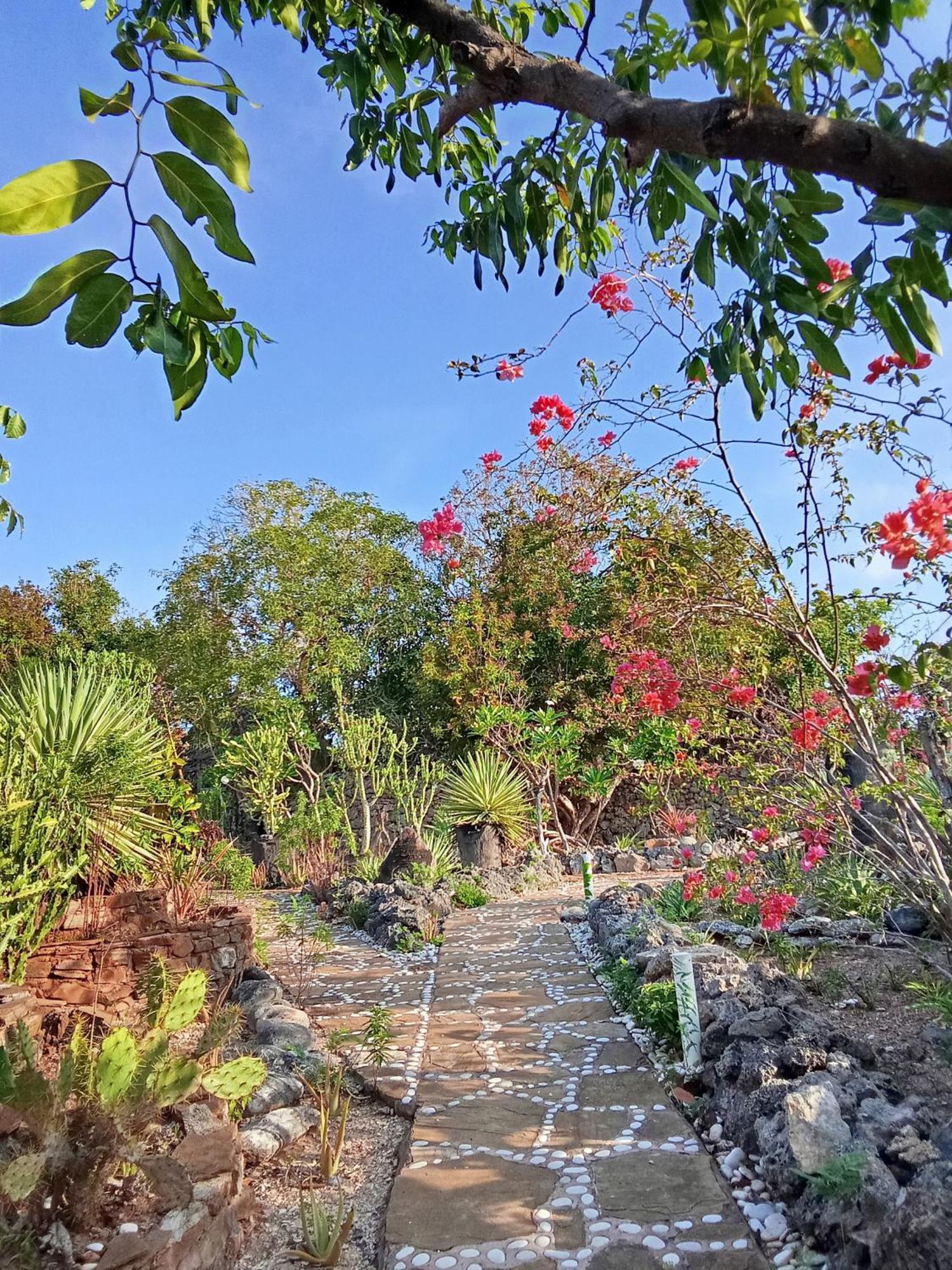 Utopia Rote Lodge نيمبرالا المظهر الخارجي الصورة