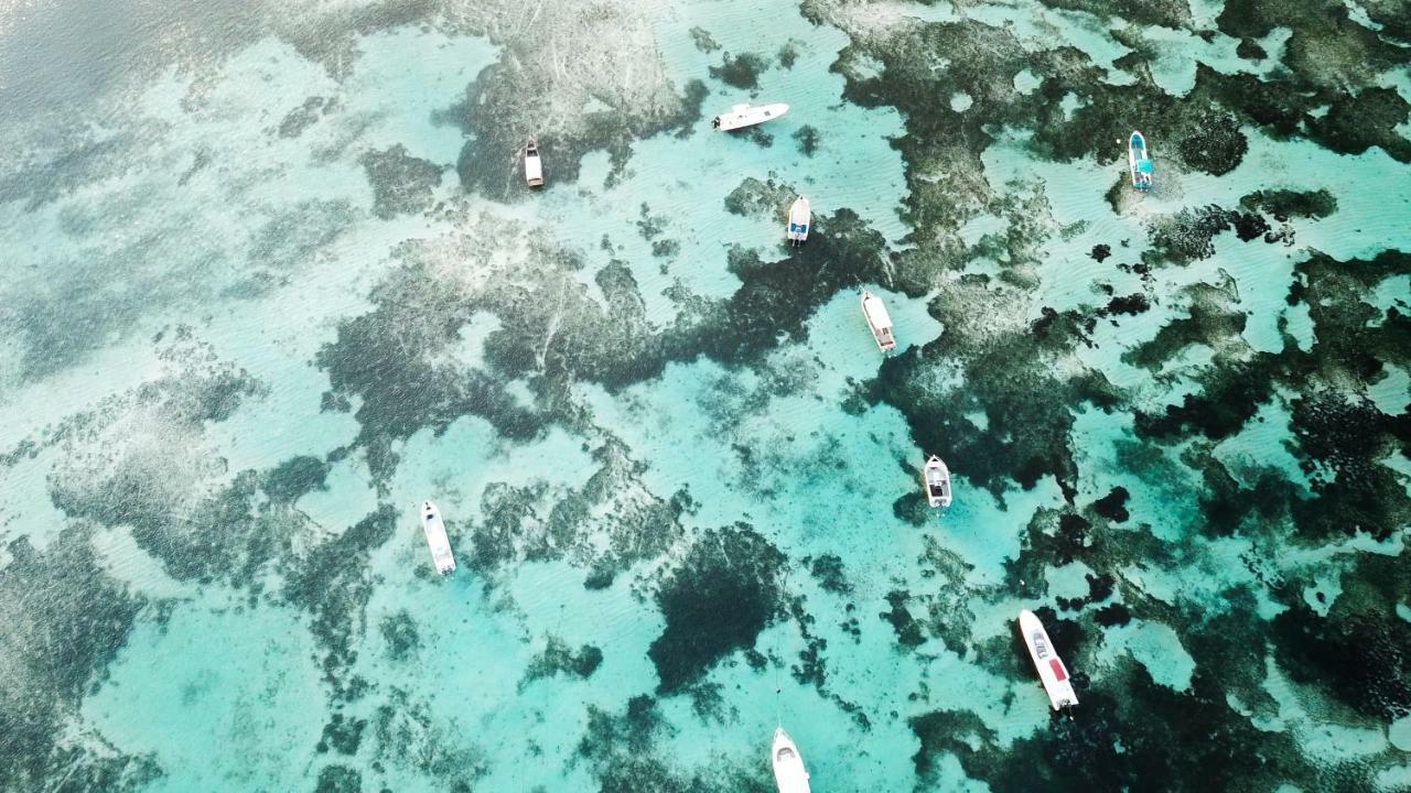Utopia Rote Lodge نيمبرالا المظهر الخارجي الصورة